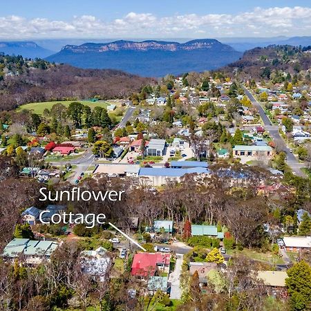 Sunflower Cottage Катумба Экстерьер фото
