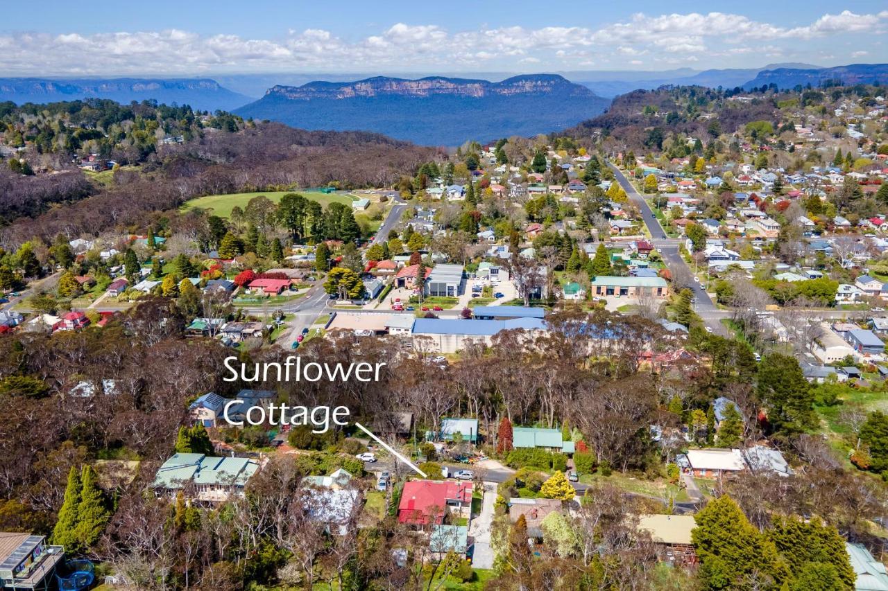 Sunflower Cottage Катумба Экстерьер фото